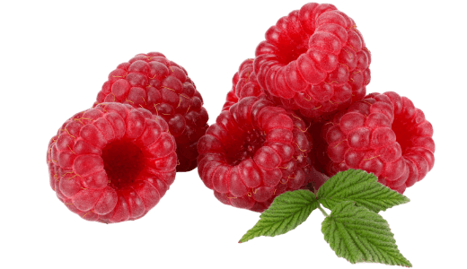 Raspberry-1-